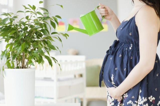 �҃�(n��i)��ȩ�����B���y�����@�ɷN���������܂�!